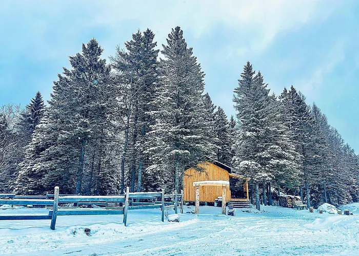 Mont Megantic - Chalet Le Madison