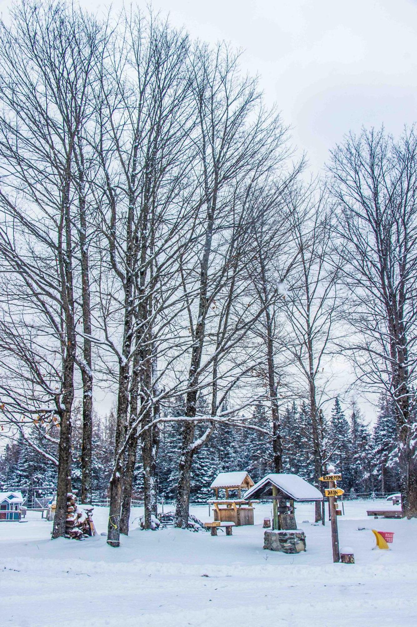 Mont Megantic - Le Madison Lodge