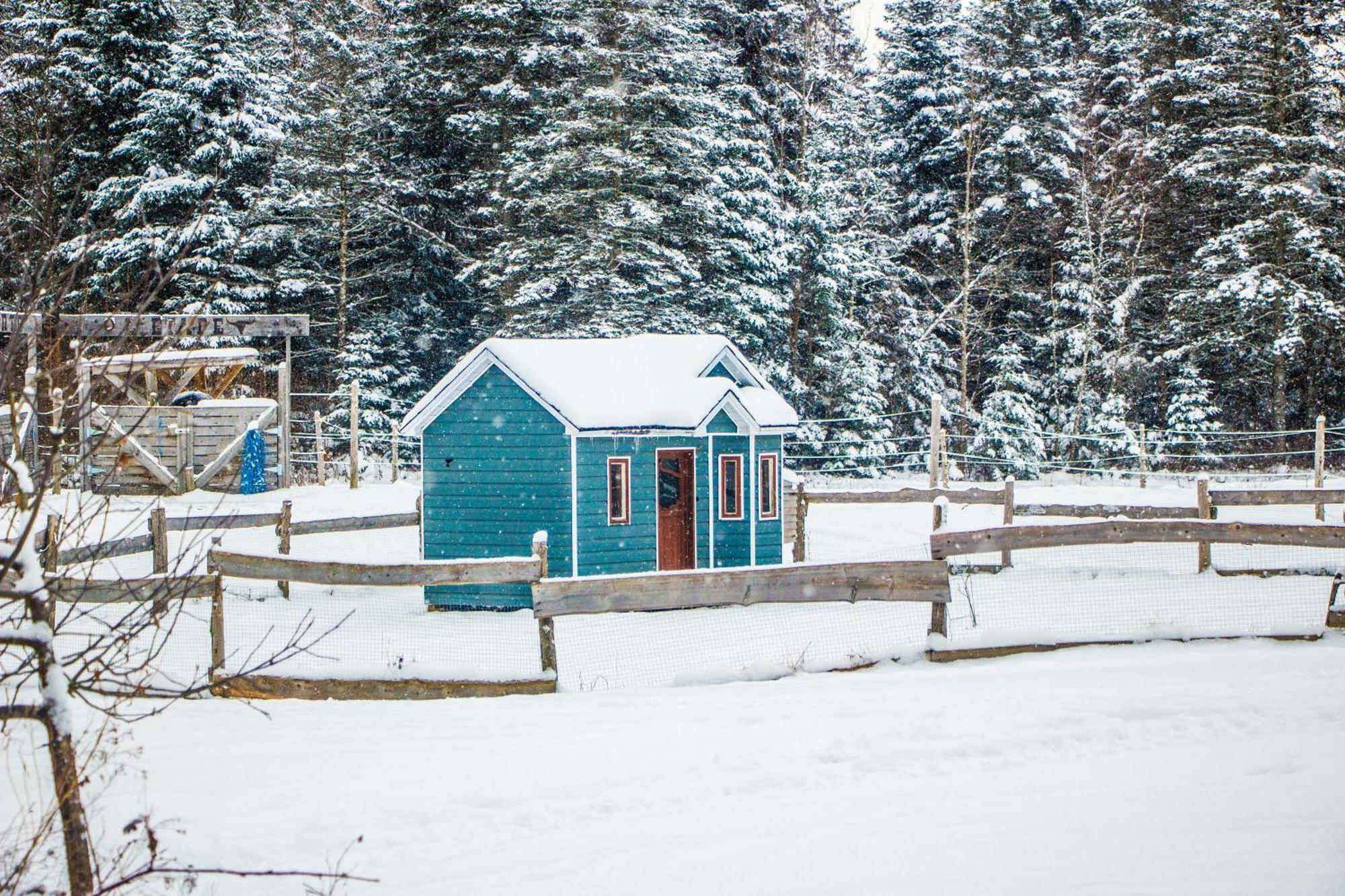 Mont Megantic - Le Madison *
