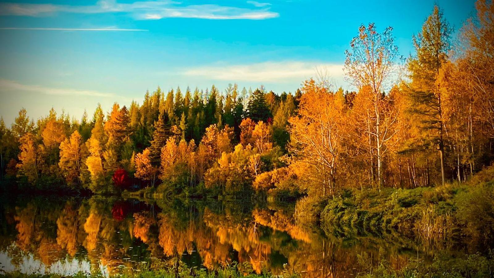 Lodge Mont Megantic - Le Madison *