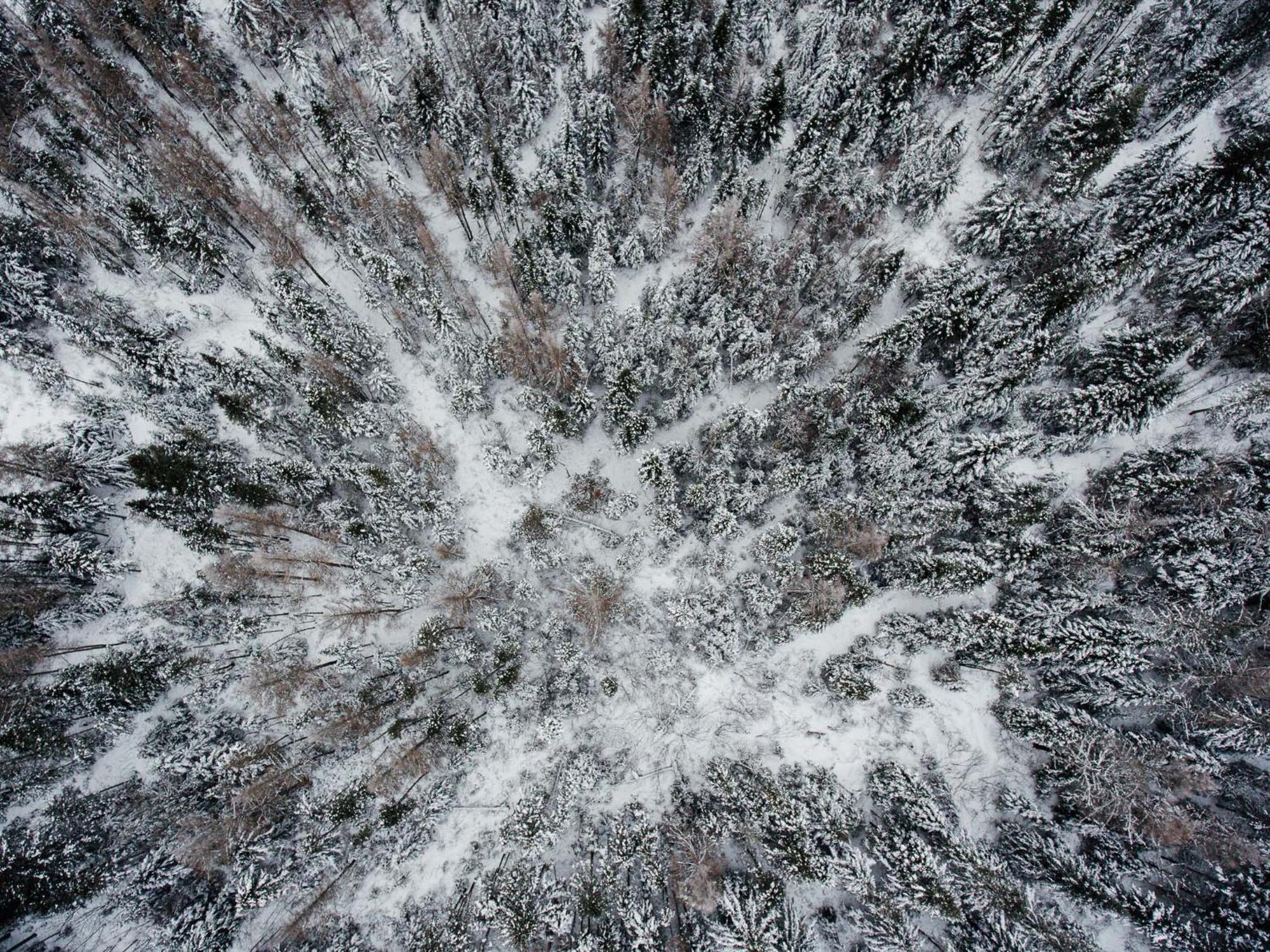 Mont Megantic - Le Madison Lodge